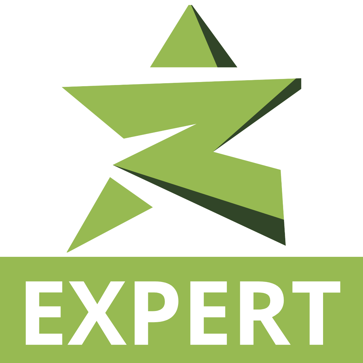 Ecom: AI Product Review Expert