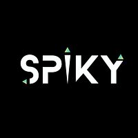 SPIKY DIGITAL portfolio media fallback