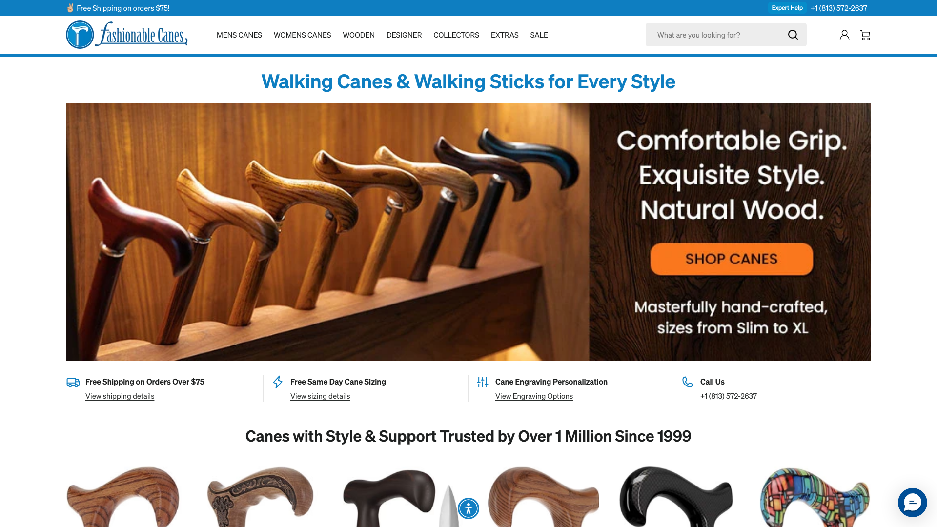 FashionableCanes: SEO Triumph & 350% ROI Boost screenshot