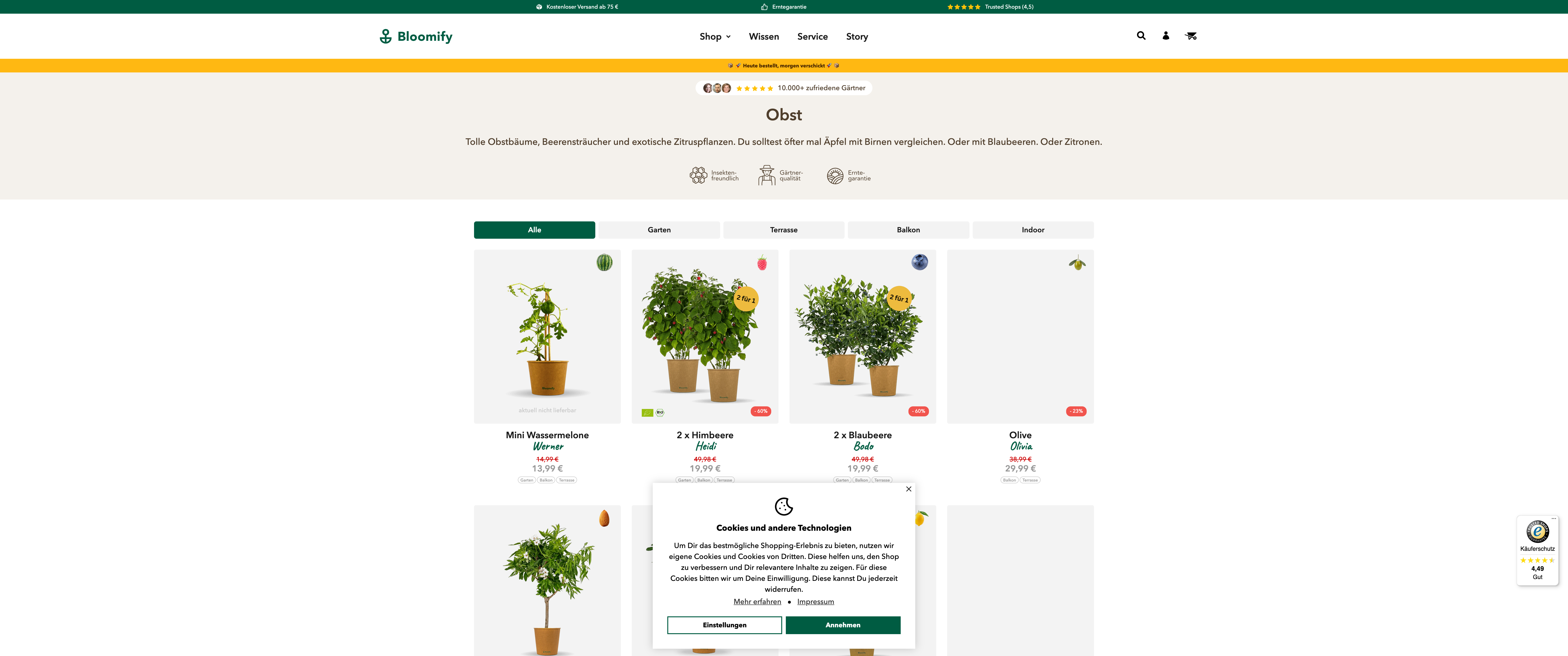 Shopify Migration Bloomify screenshot 3