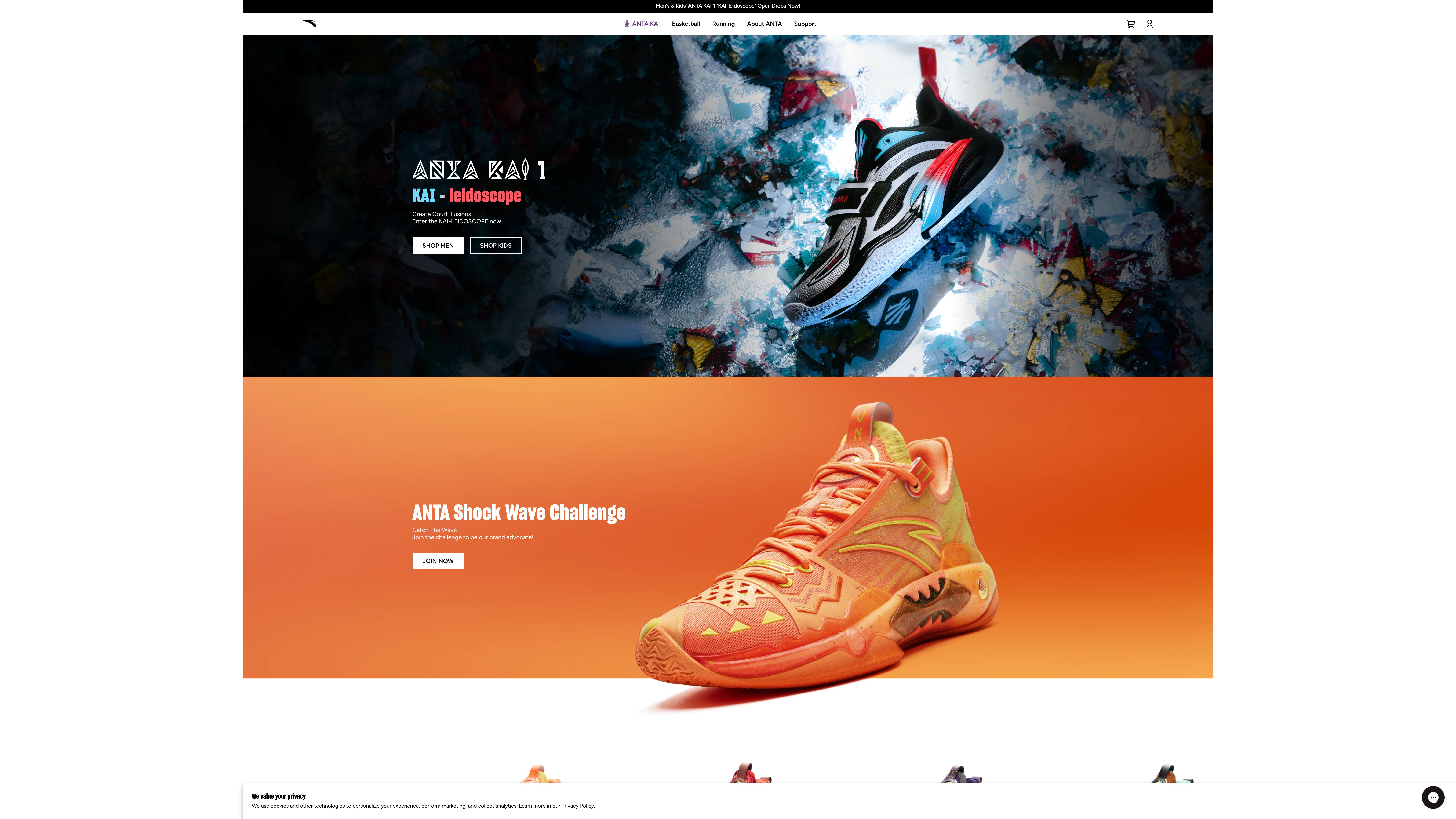 ANTA screenshot 6
